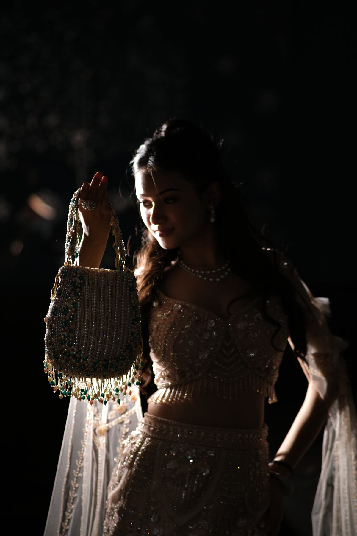 VRPS Printed Embroidered Clutch | Handcrafted Ethnic Bag | SWIS-3799 | Additional Angle